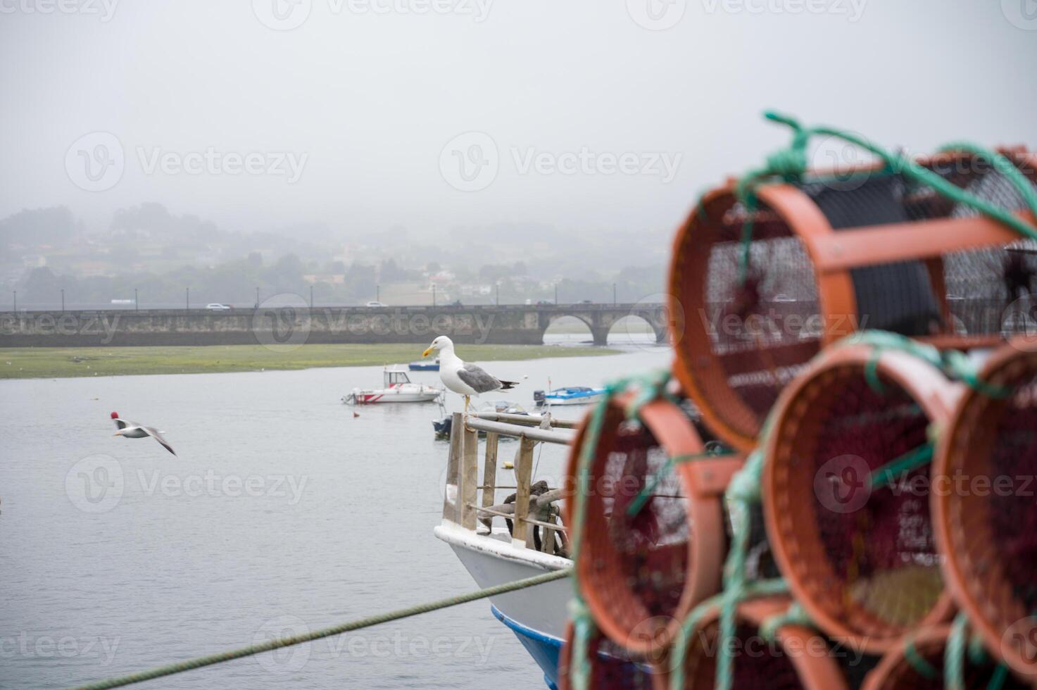 Octupus traditional fishing cage. These traditional cages, called nasa. to capture octupus, one of the most important seafood in Galicia. photo