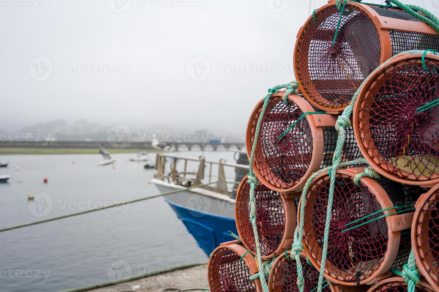 Octupus traditional fishing cage. These traditional cages, called nasa in Spanish, are used to capture octupus, one of the most important seafood ..in Galicia. photo