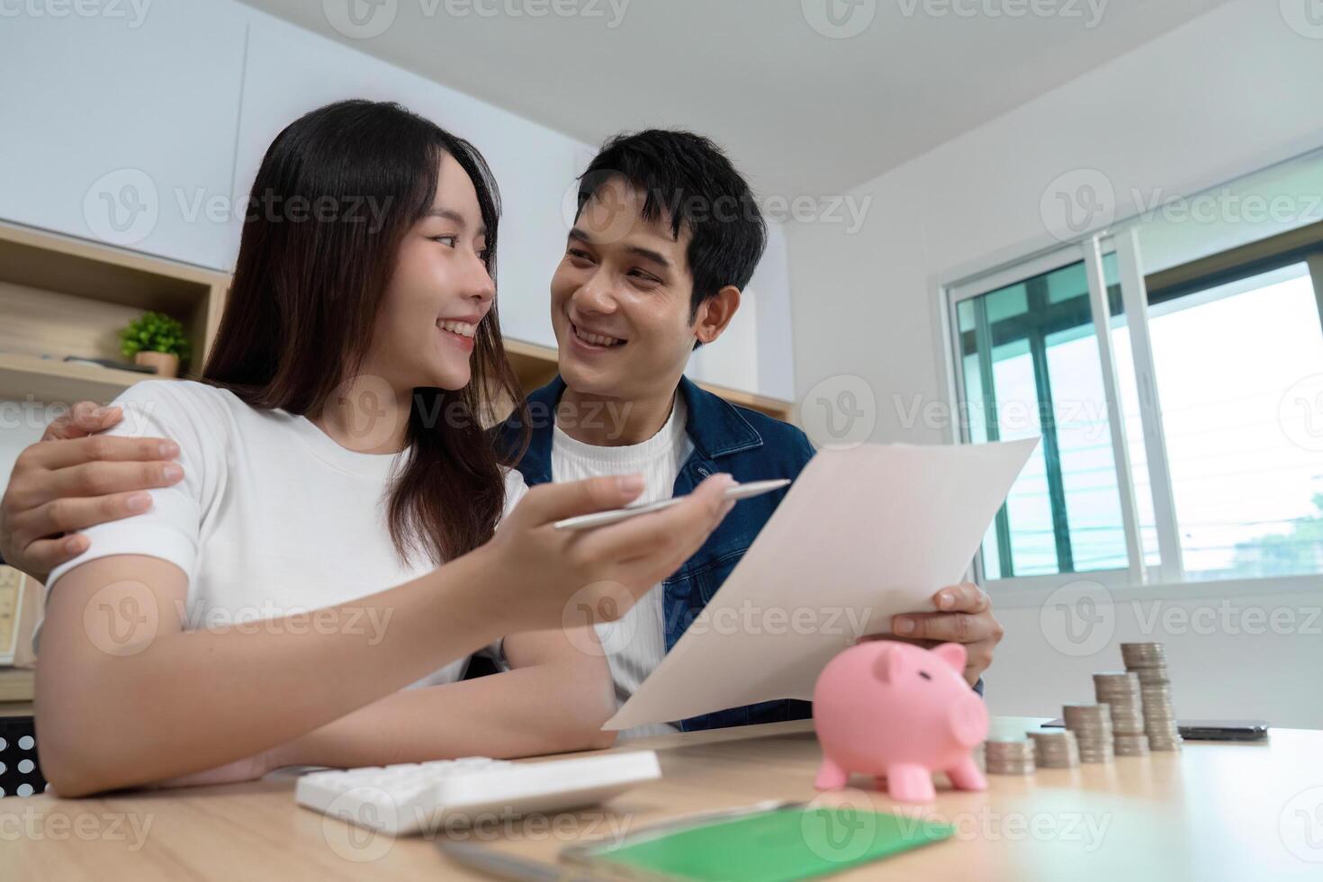 Couple Financial Planning. Young partners discussing savings and investments with piggy bank. photo