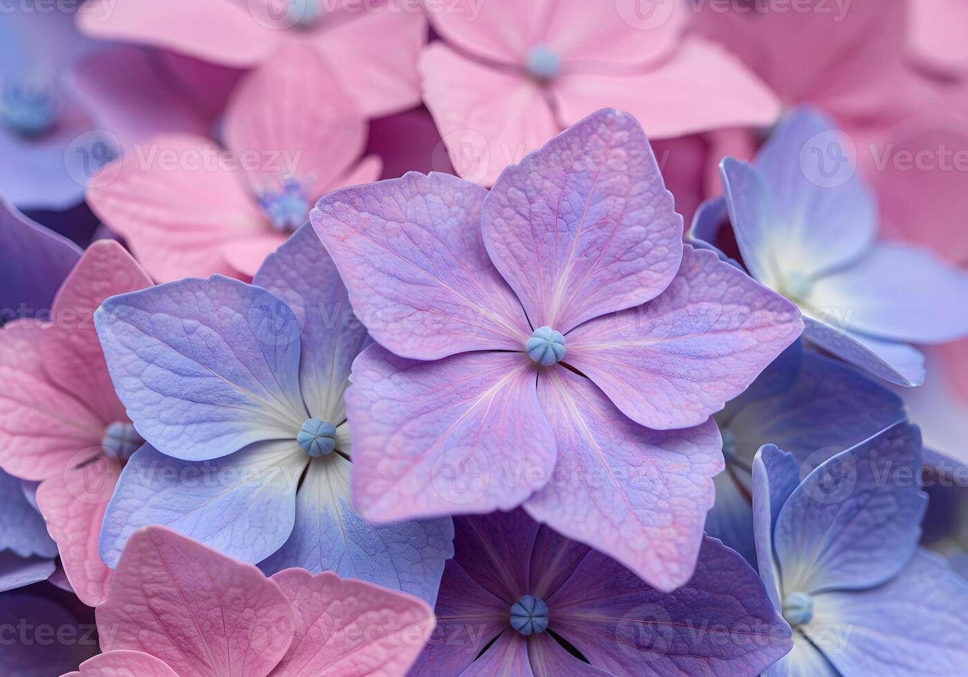 A close up of a bunch of flowers photo
