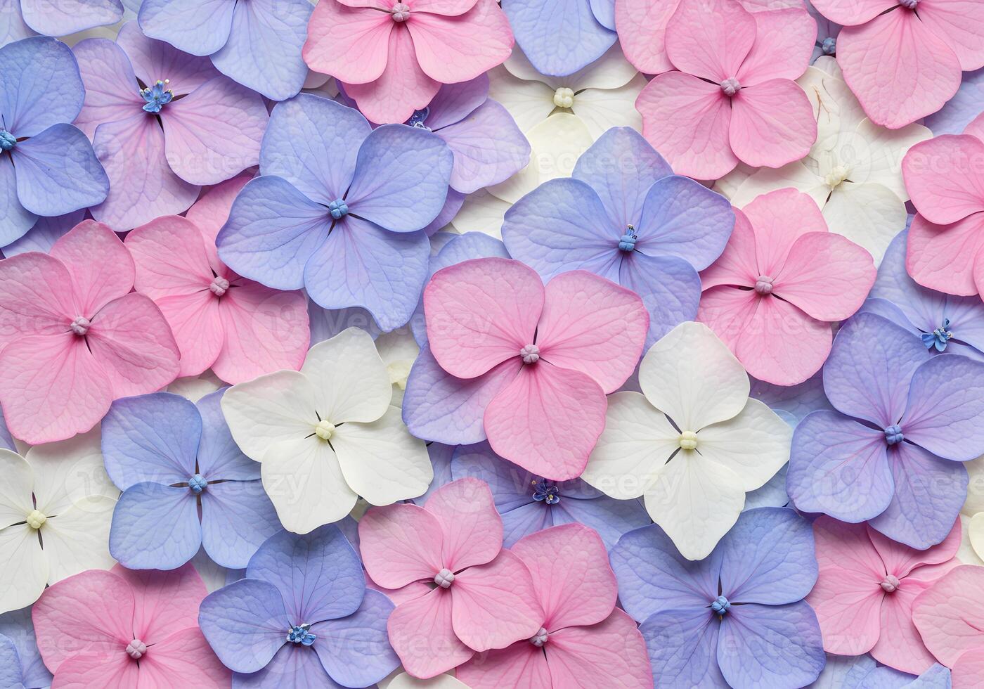 A large group of pink and blue flowers photo