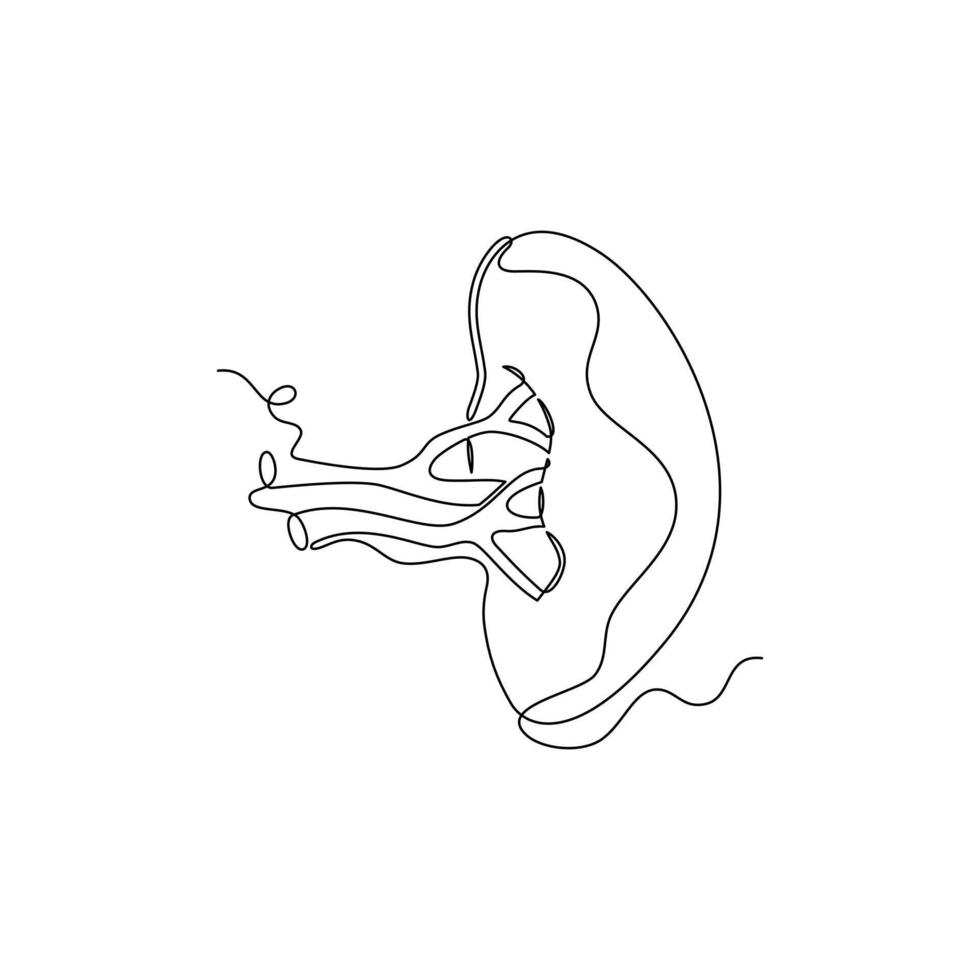 one line art Spleen illustration. line art, one continuous line, simple, hand drawn and sketch style. for icons, symbols, signs or logos vector