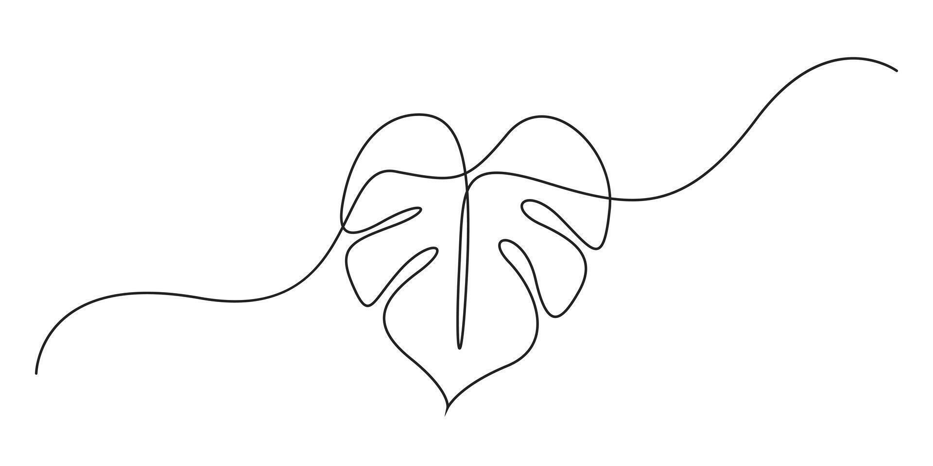 Monstera leaf continuous one line drawing graphic illustration vector