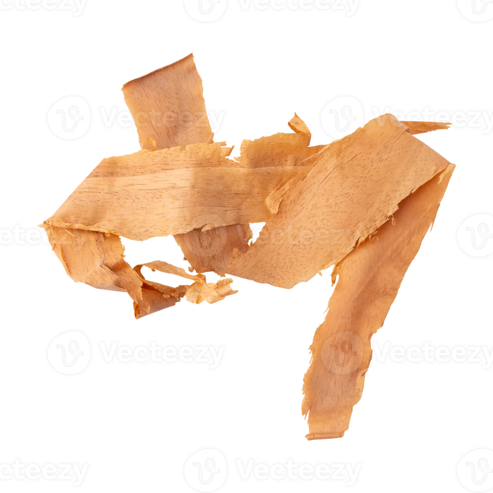 Wood shavings sawdust isolated on transparent background png