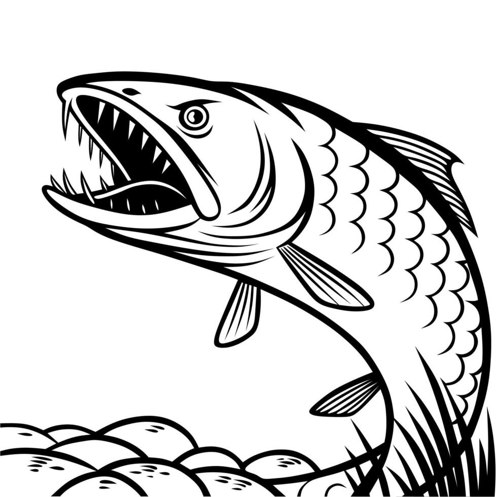 Giant Snakehead Fish Line Art Illustration vector