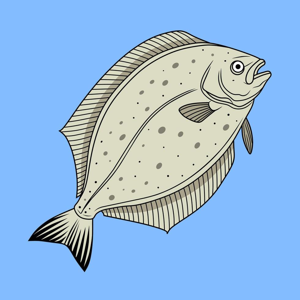 Halibut Fish Illustration on Blue Background vector