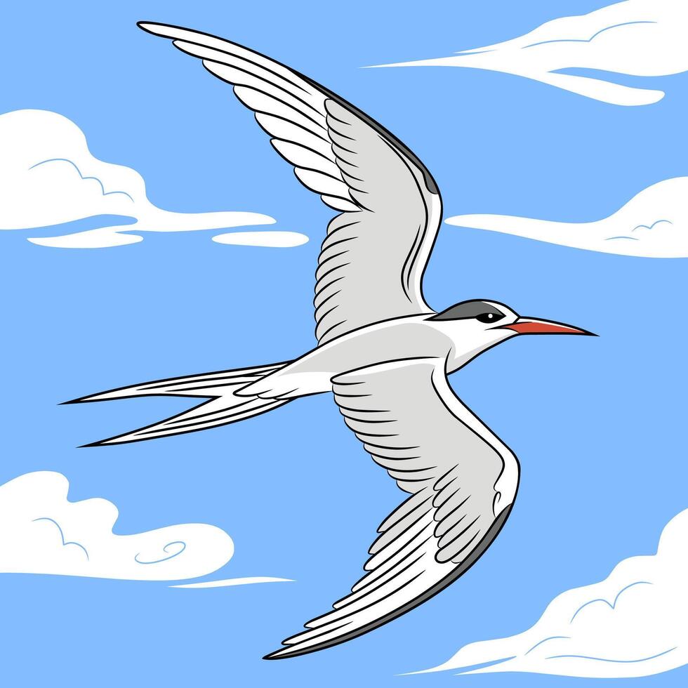 Stylized illustration image of seabird in flight style vector