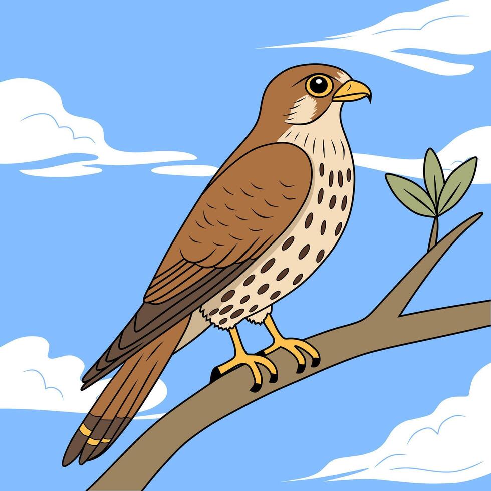 Brown bird sitting on a branch vector
