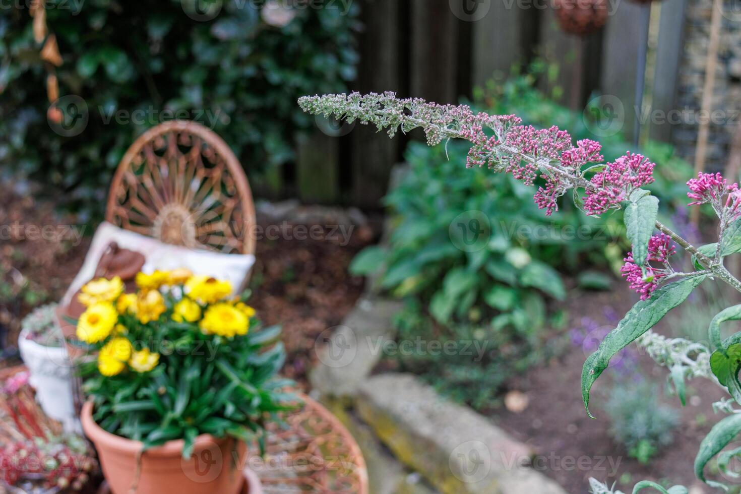 A flower garden with pots and plants photo