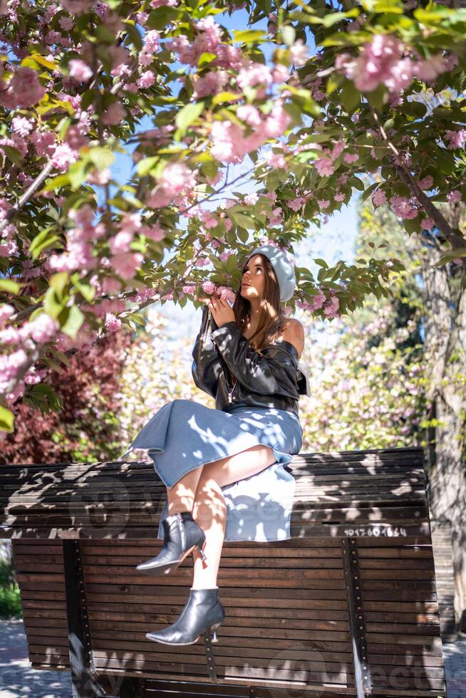 Sakura Blossoms Girl Bench Spring. Young woman sits under pink flowers on a bench enjoying the springtime bloom. photo