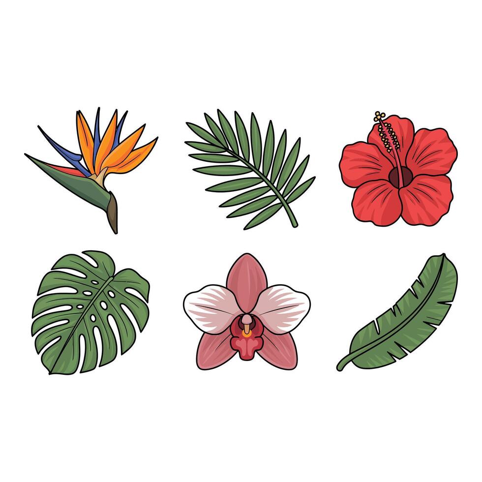 Tropical flowers and leaves isolated on white background vector