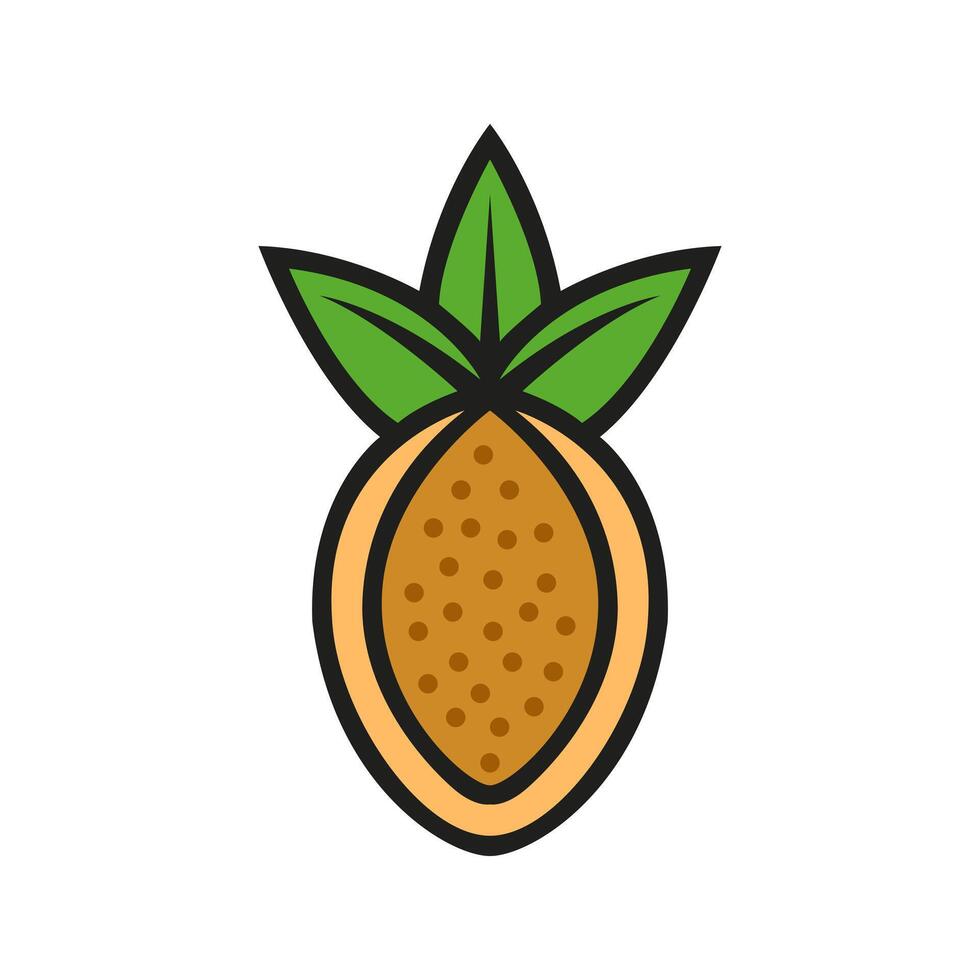 Tropical cassava root vegetable vector