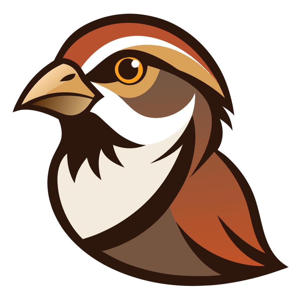 Close View of Sparrow Head vector