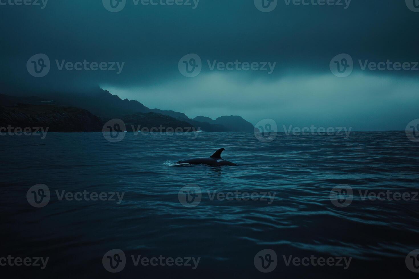A dark, moody seascape with a solitary dolphin photo