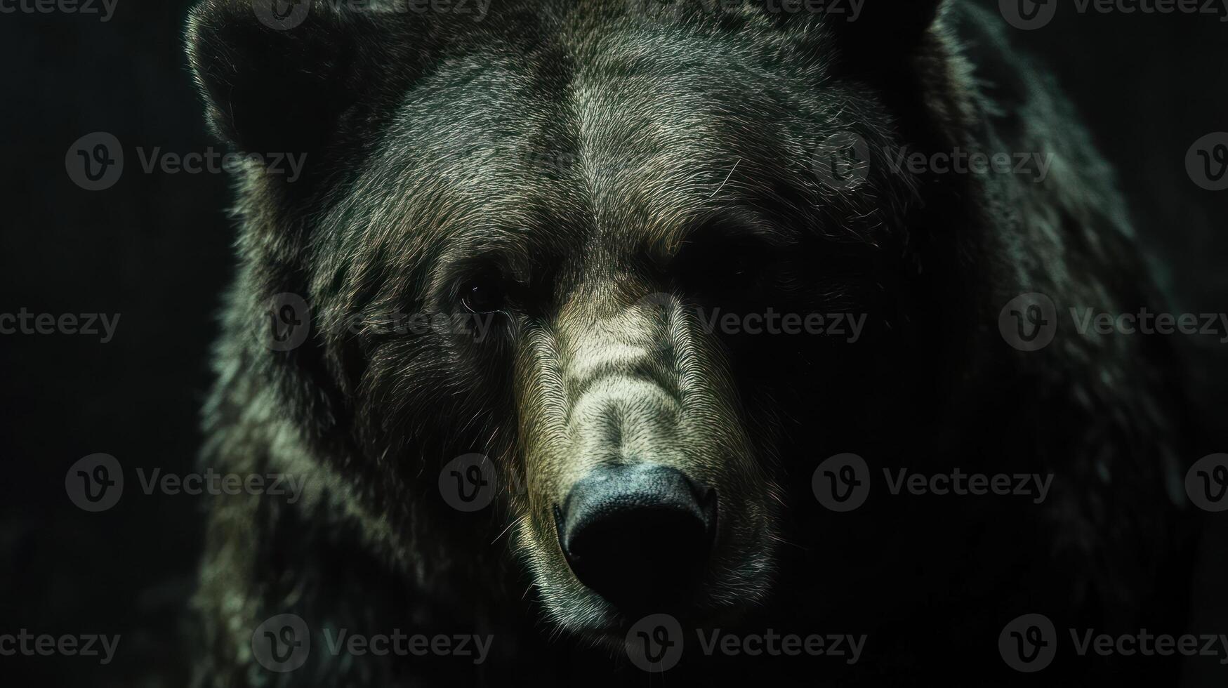 A close up of a brown bear in the dark photo
