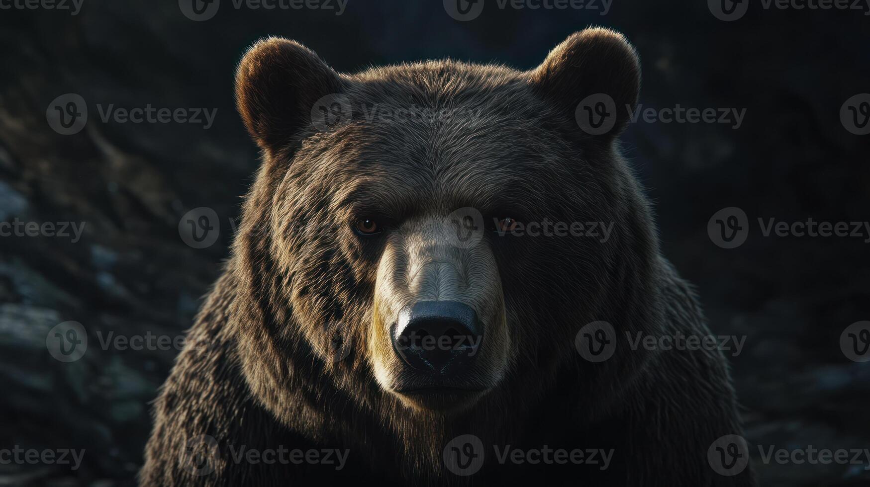 A close up of a brown bear looking at the camera photo