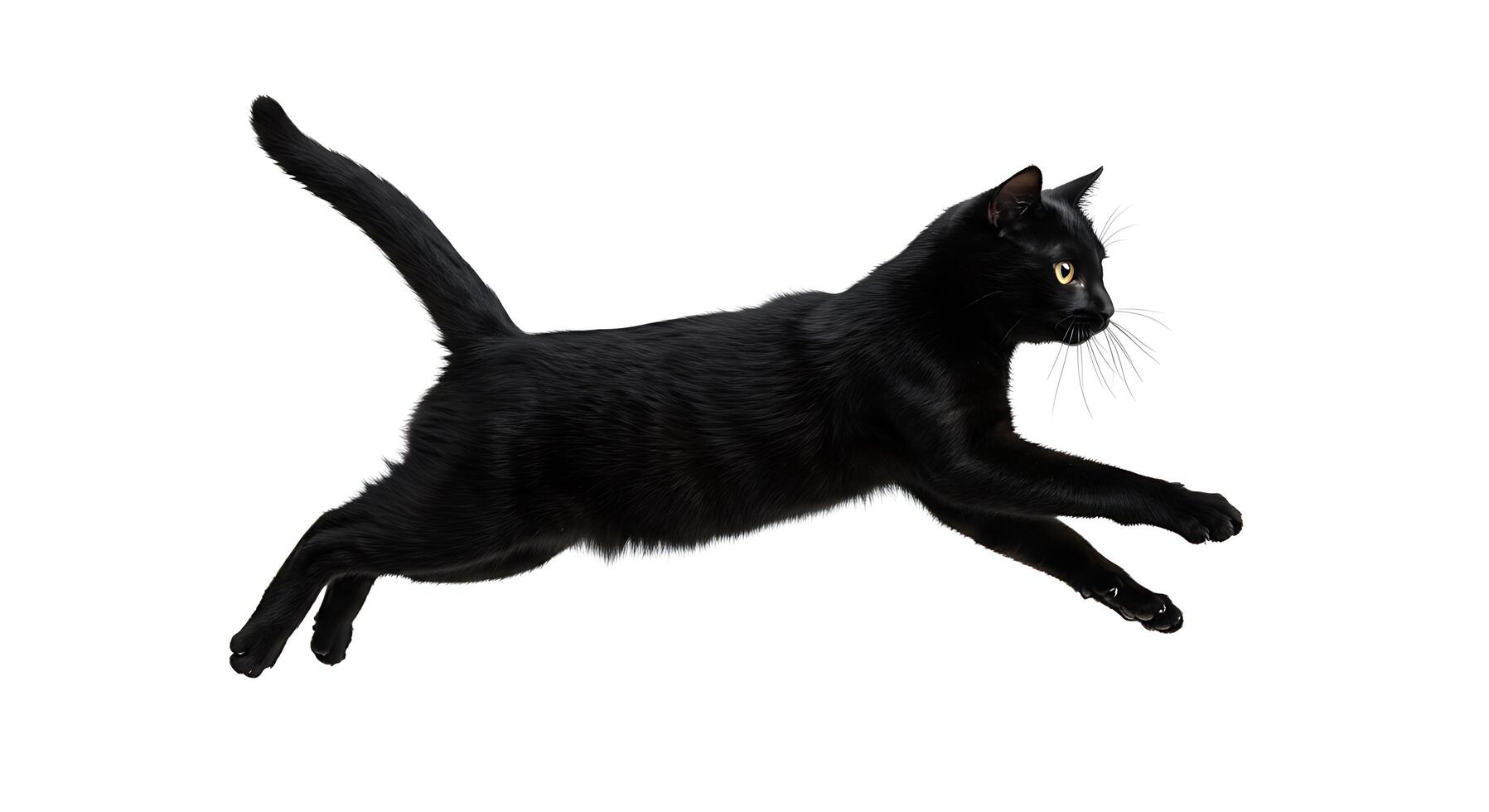 A black cat is running in the air photo