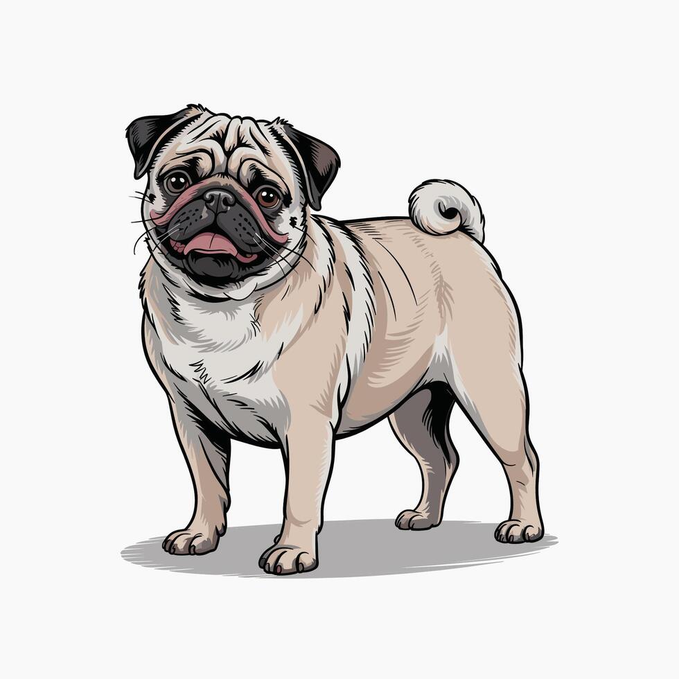 adorable standing pug dog illustration vector
