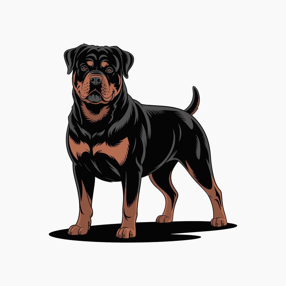 illustration of rottweiler dog Standing upright vector