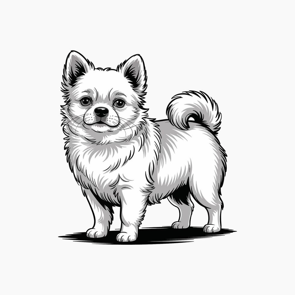 white chihuahua dog illustration standing upright vector