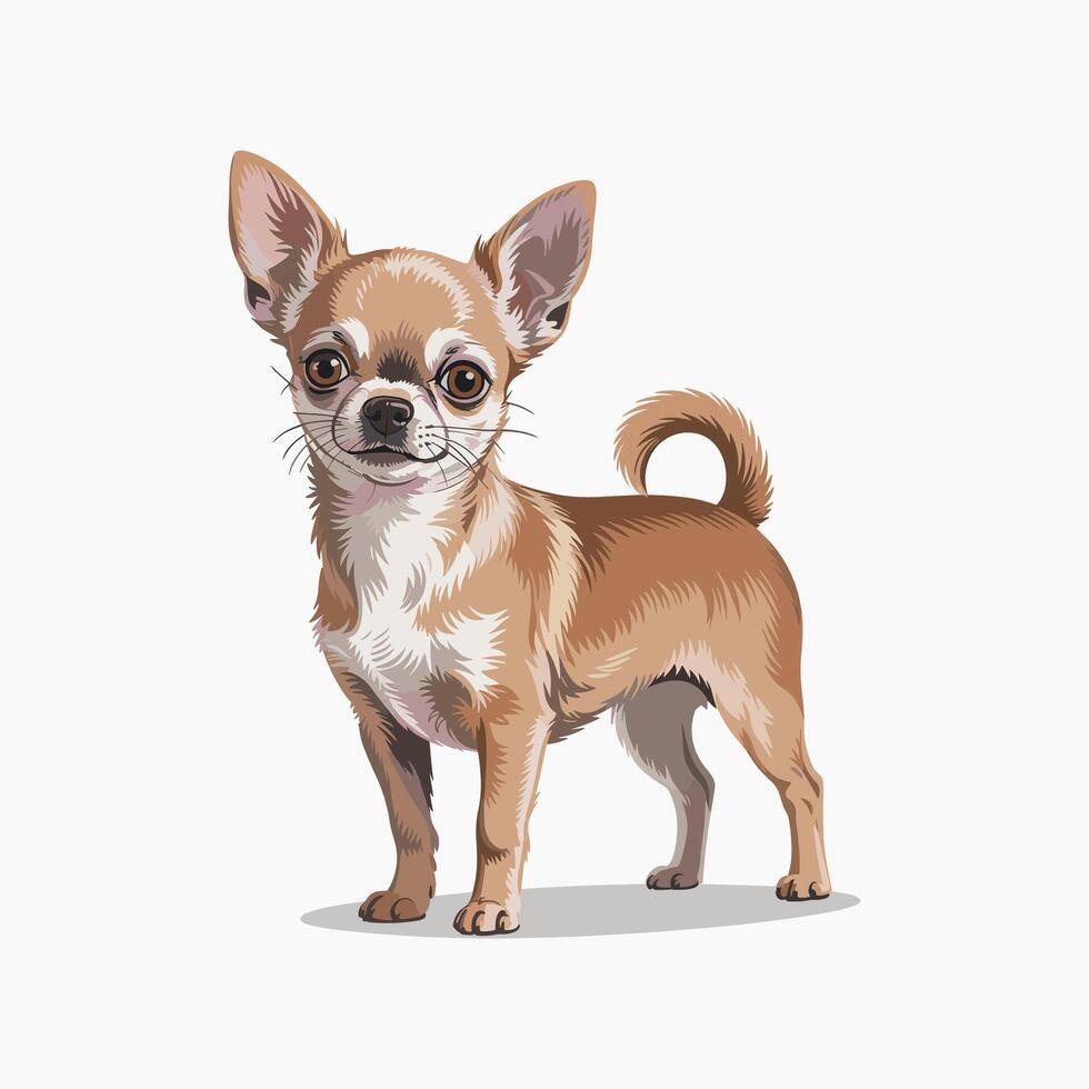 brown chihuahua dog standing illustration vector