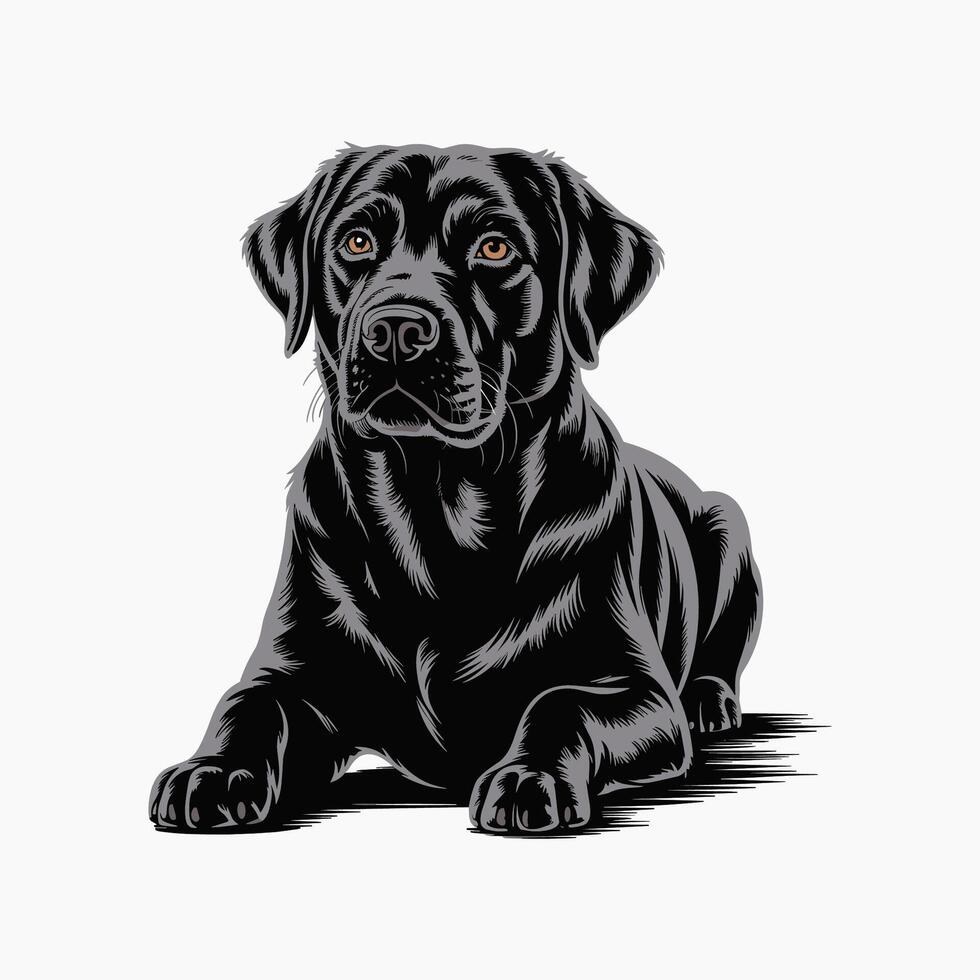 illustration of sitting black labrador retriever dog pose vector