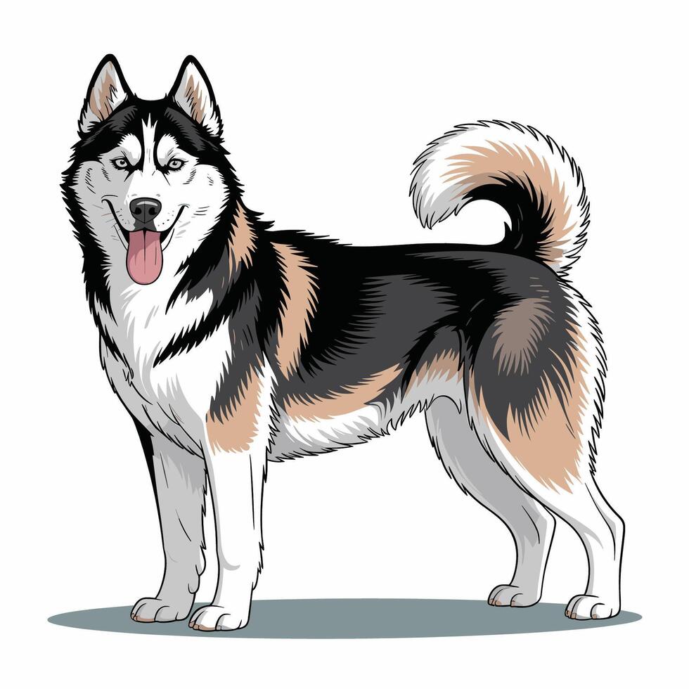 Brown Siberian Husky illustration vector