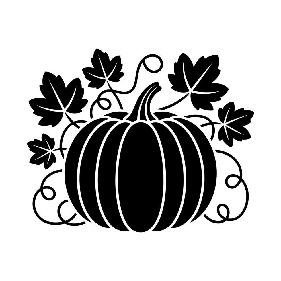 Black pumpkin with leaves and vines squash gourd vector