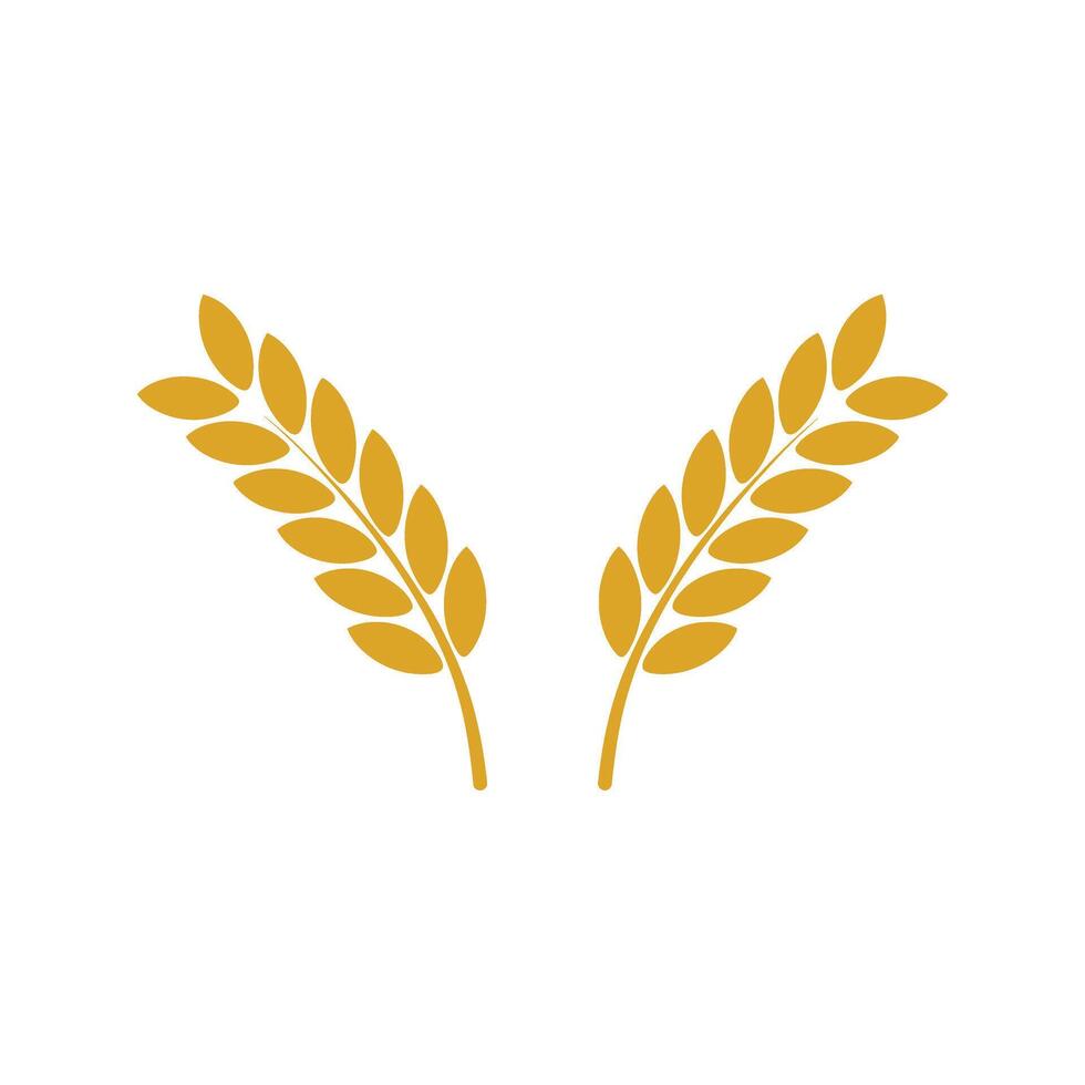 Wheat ears icon vector
