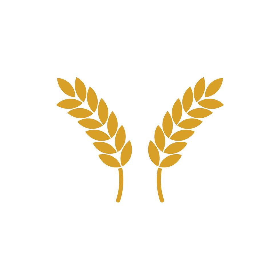 Two wheat ears icon on a white background vector