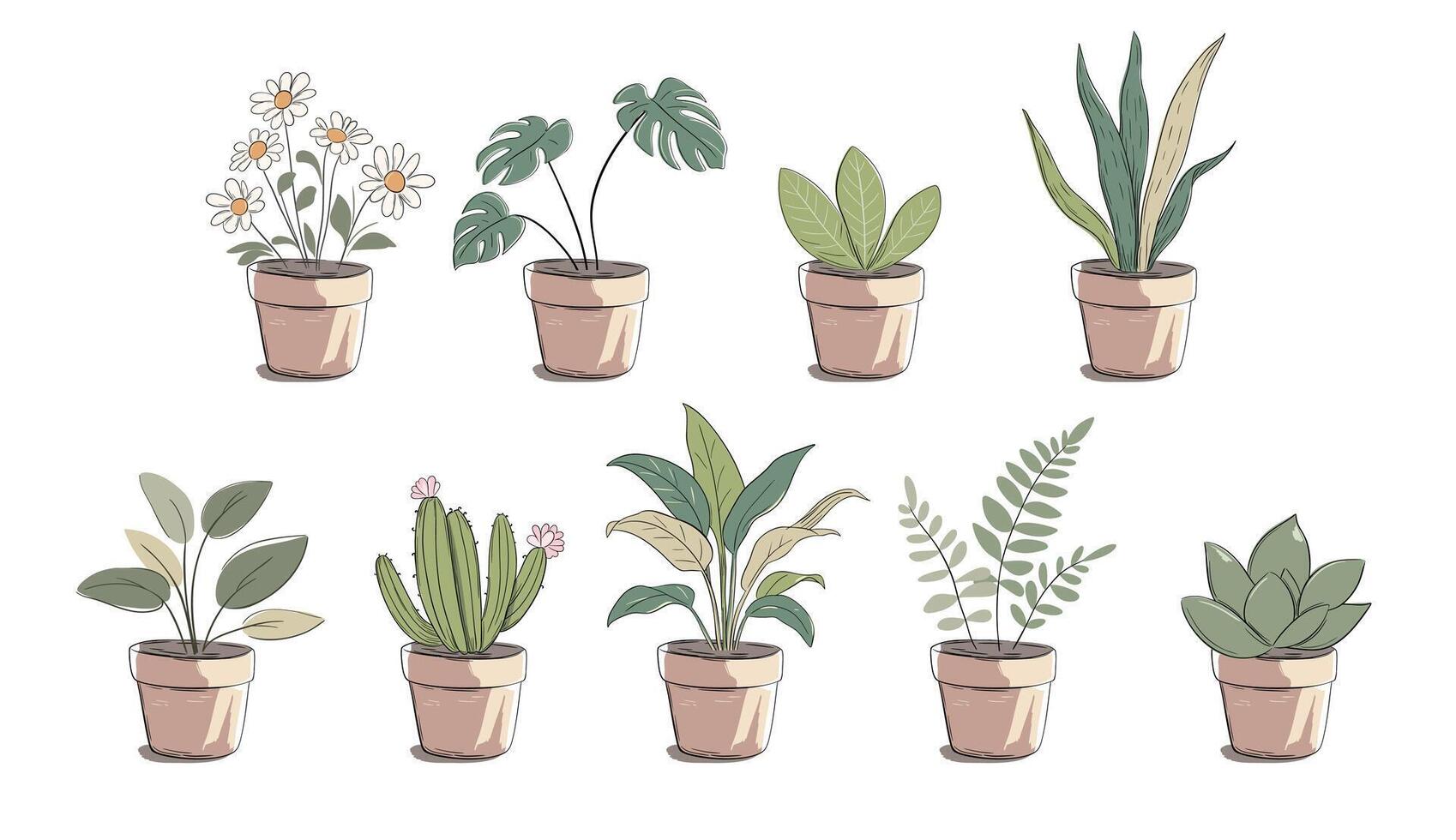 Various potted plants in decorative pots vector