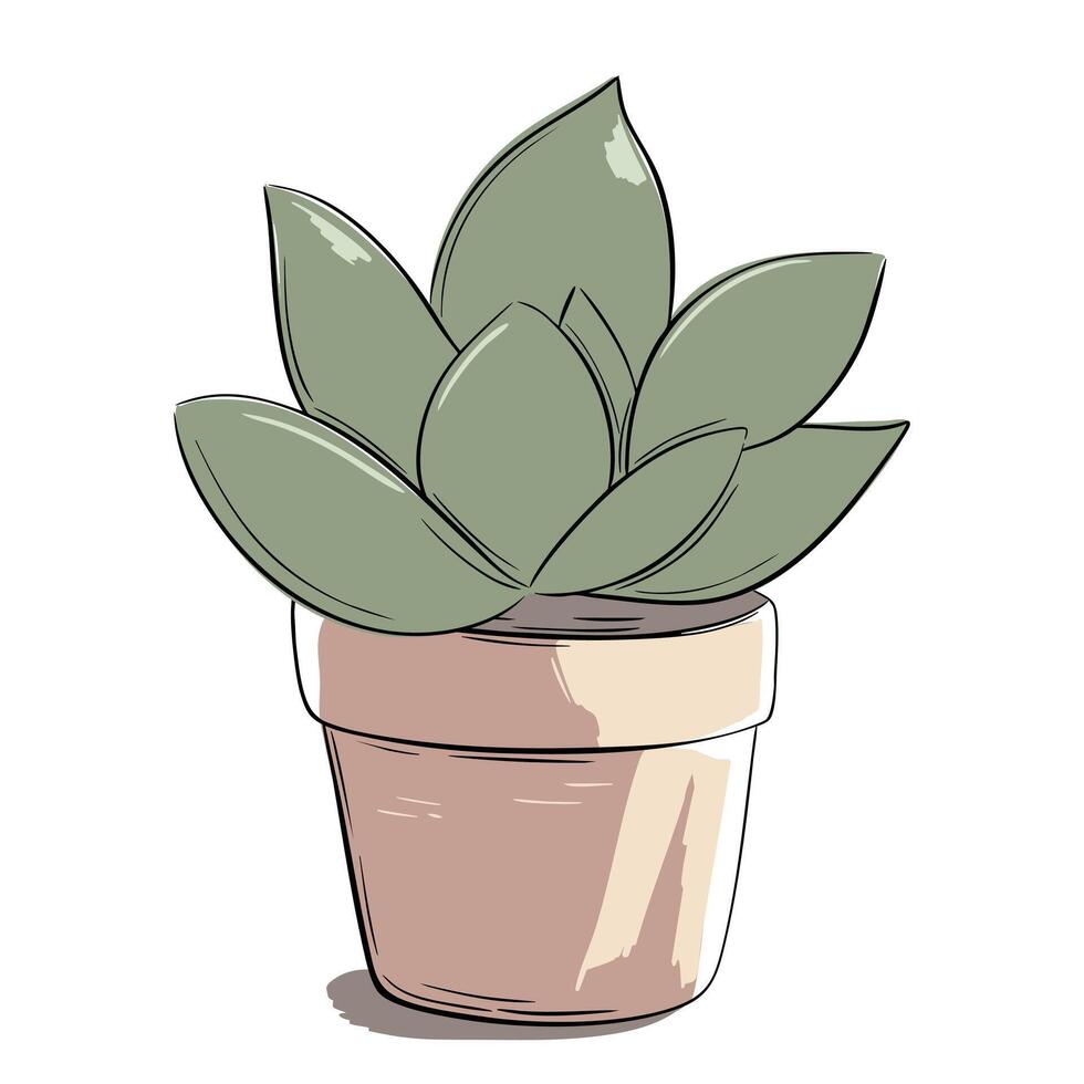 Houseplant in sketch style and marker lines. Succulent in pot. Hand drawn plant in pastel tones. vector