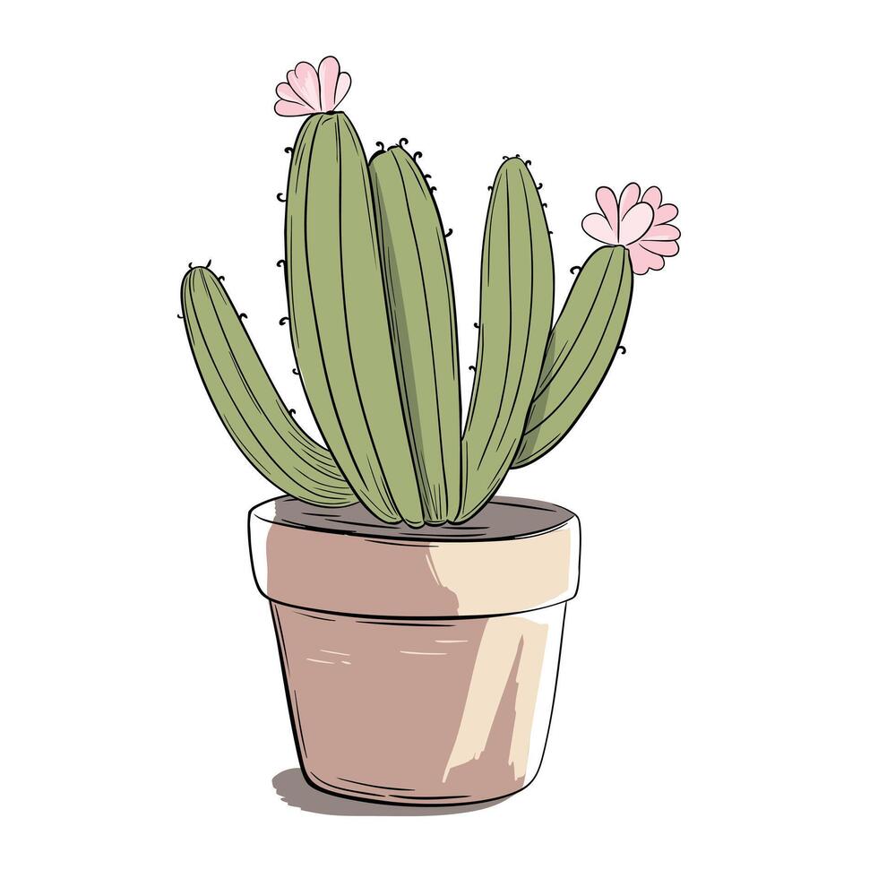 Blooming cactus in pot. Hand drawn houseplant in sketch style and marker lines vector