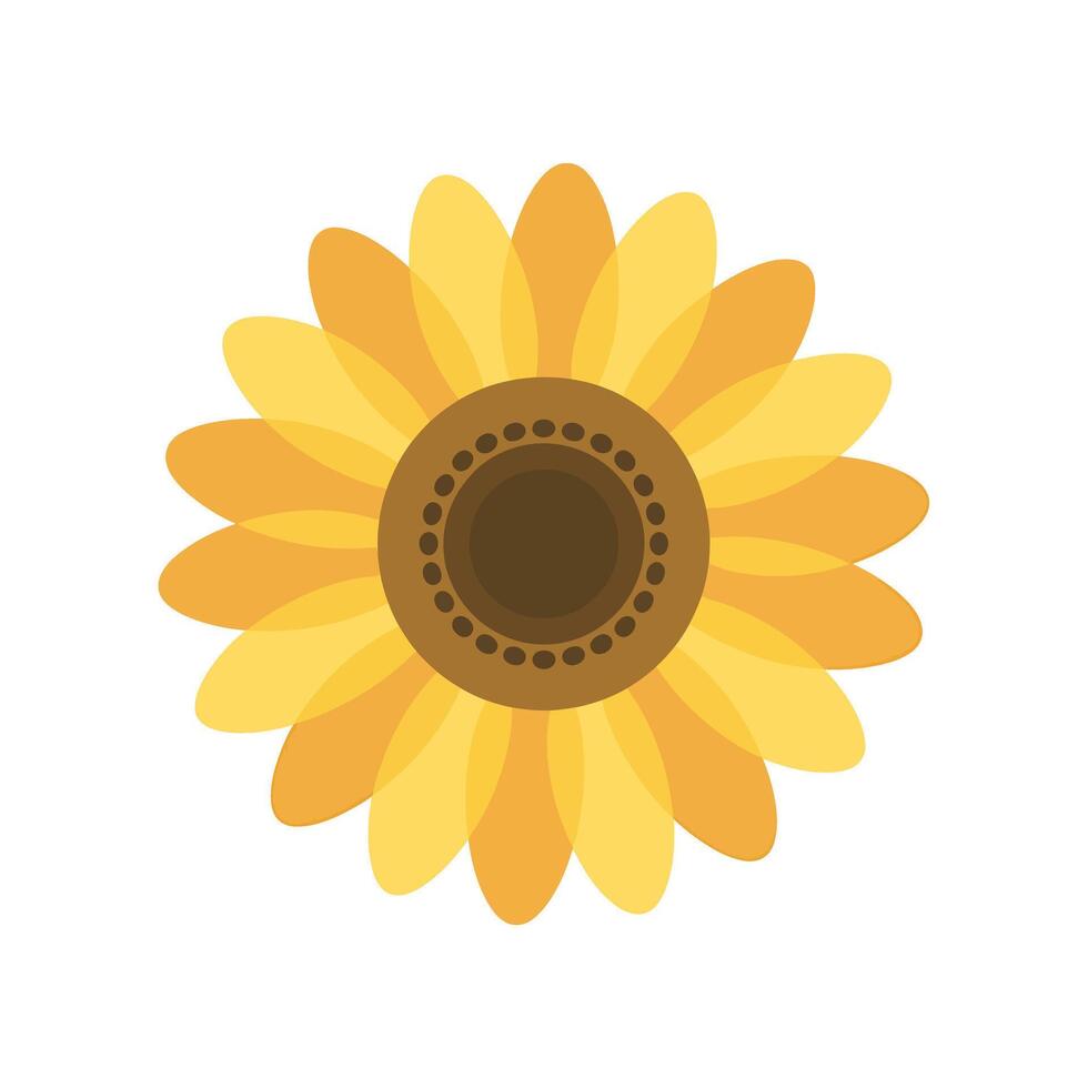 Sunflower flower icon vector
