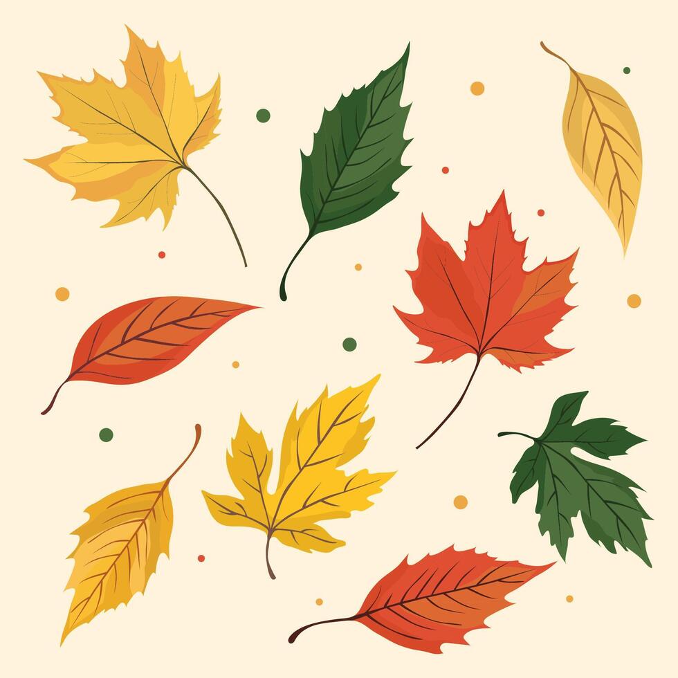 Colorful autumn leaves on background vector