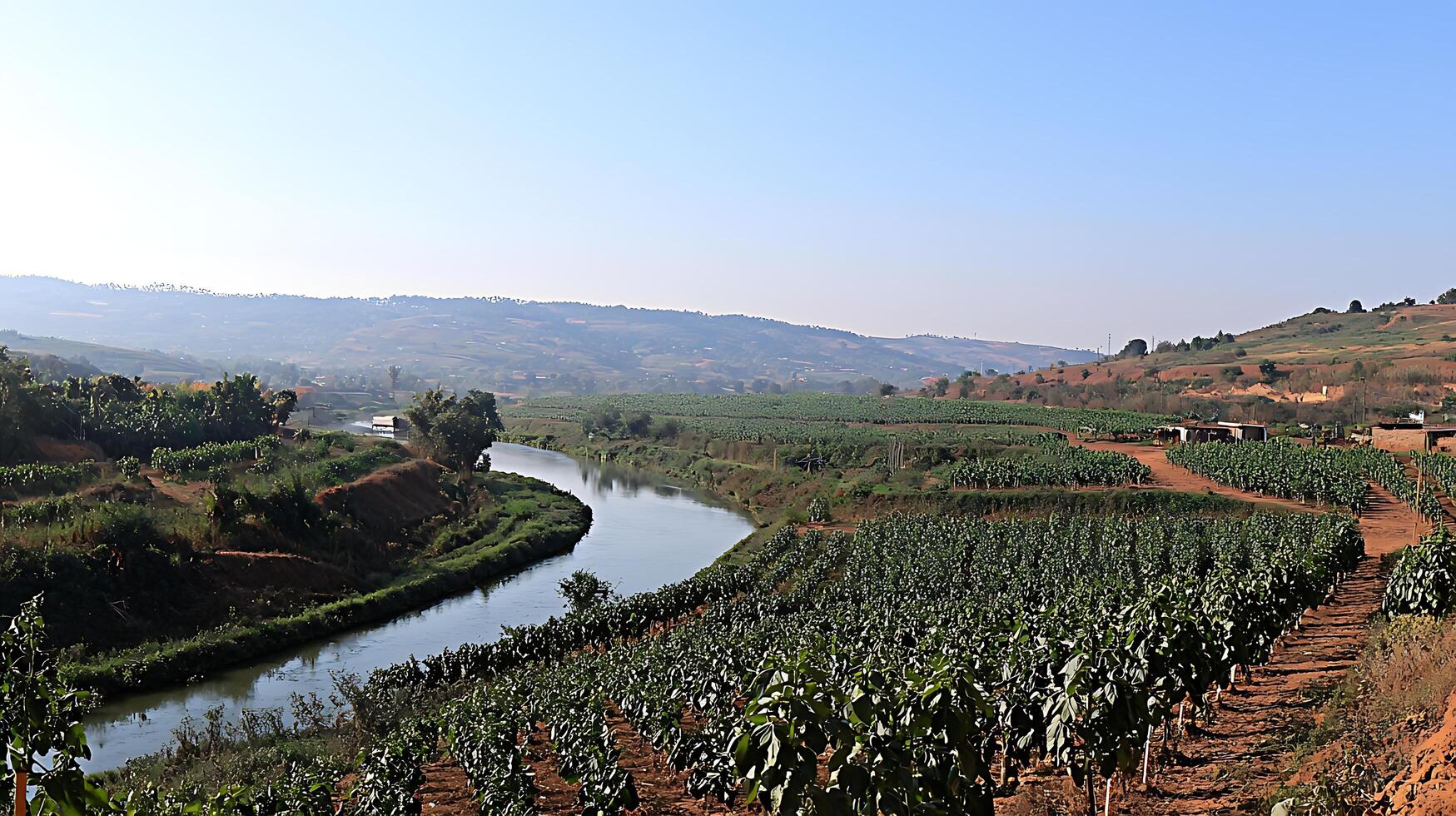 Lush Greenery Meets Winding River in a Beautiful Rural Landscape. photo