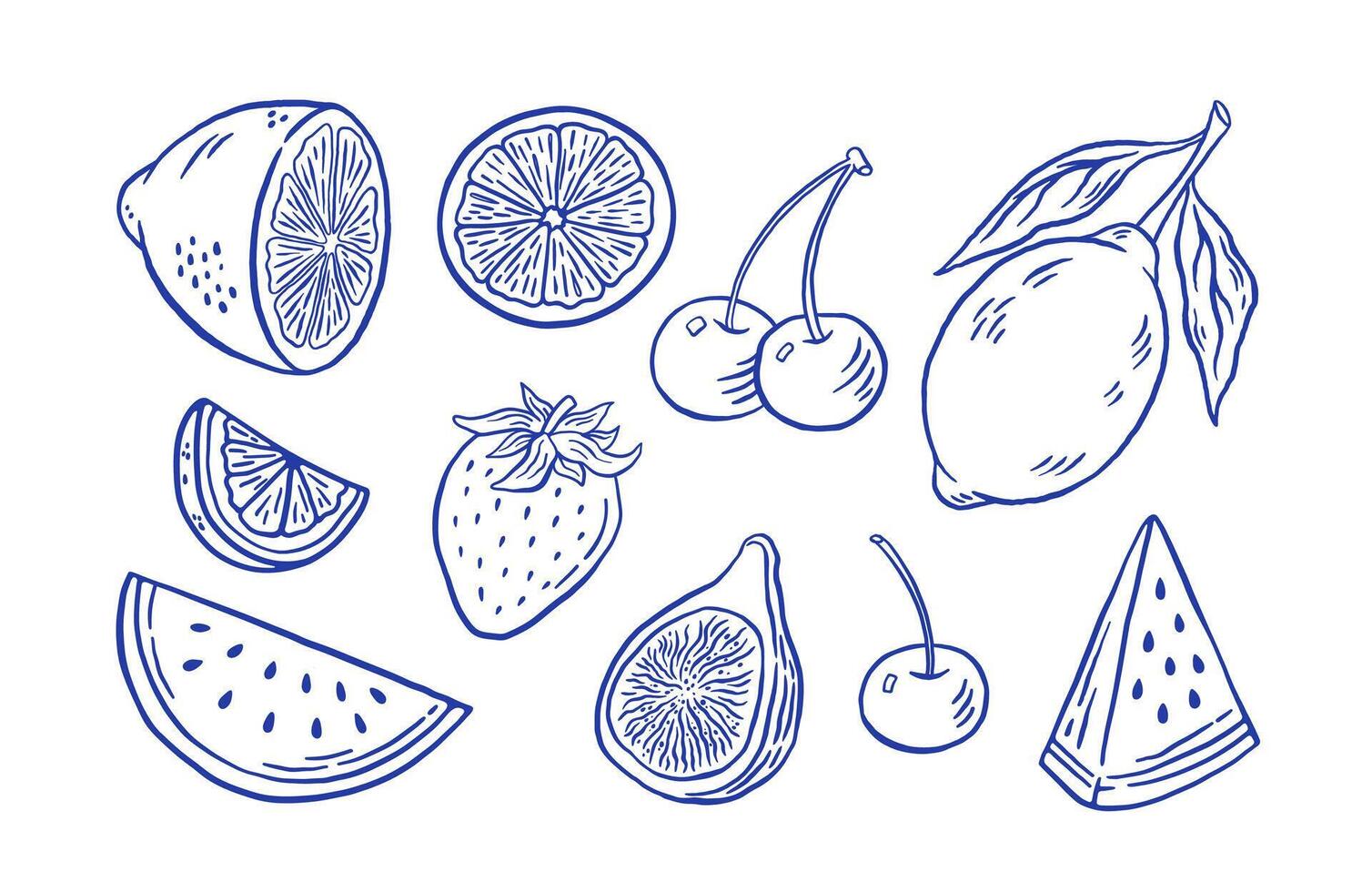 Hand draw farmer fruit illustration. Doodle watermelon, strawberry, fig, lemon, citrus icons. Vegan healthy food vector