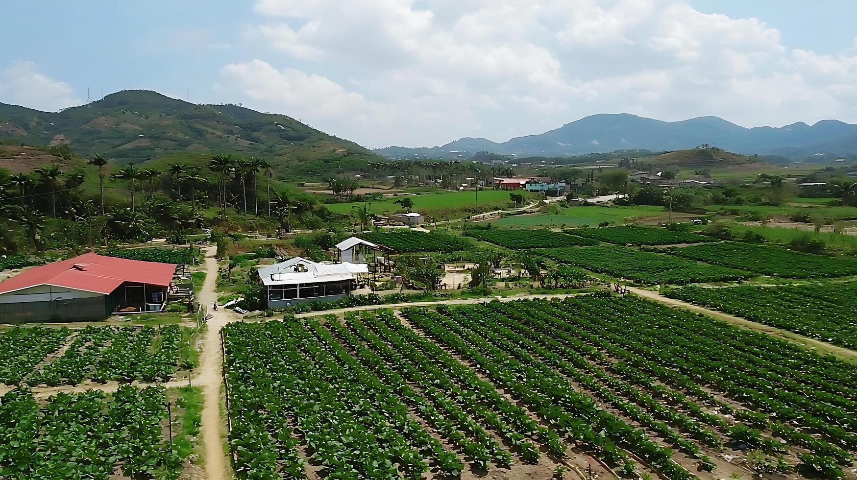 Lush Green Farm Fields Stretch Towards Majestic Distant Mountains. photo