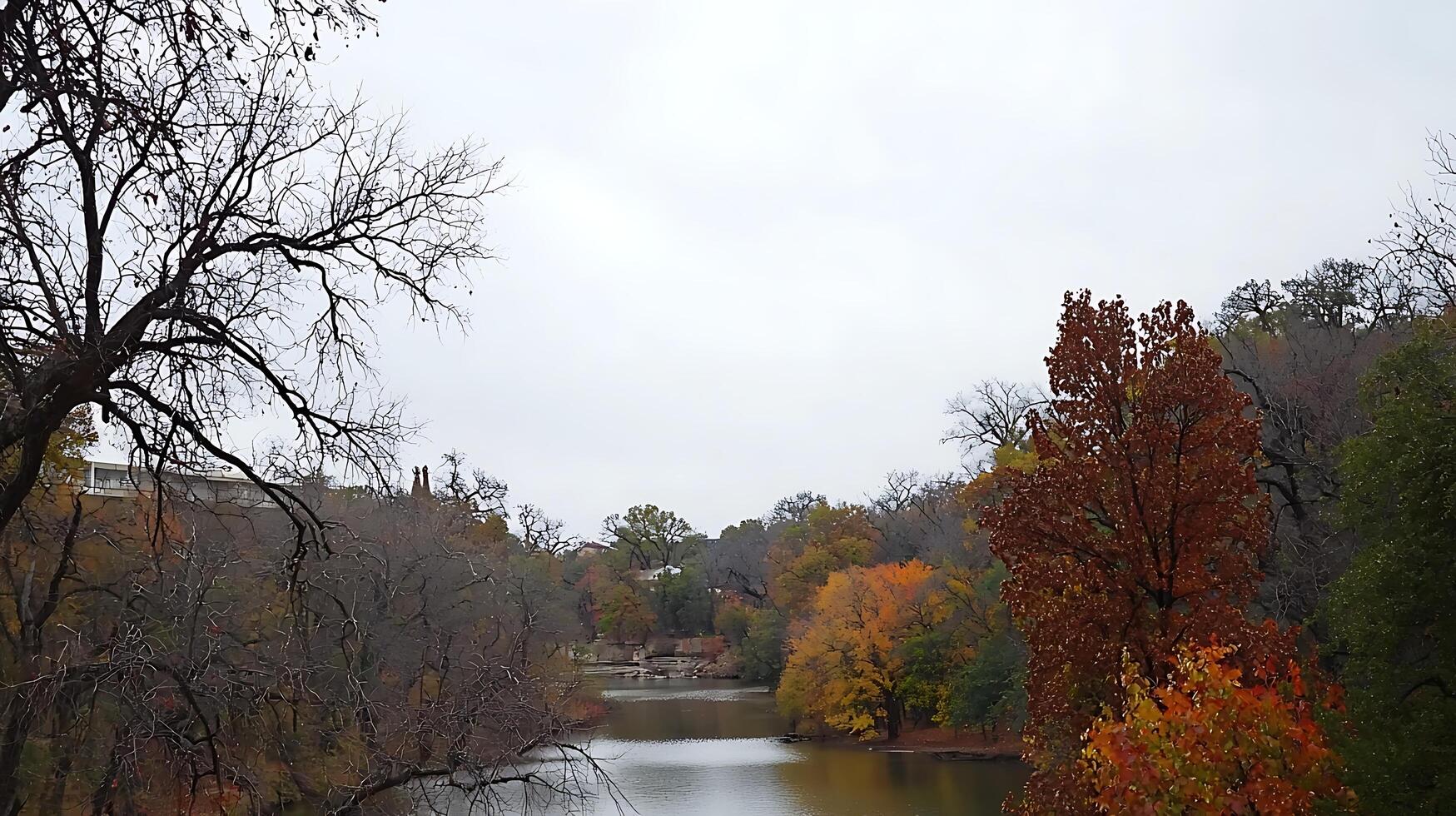 Serene Autumn River Scene with Bare and Colorful Trees. photo