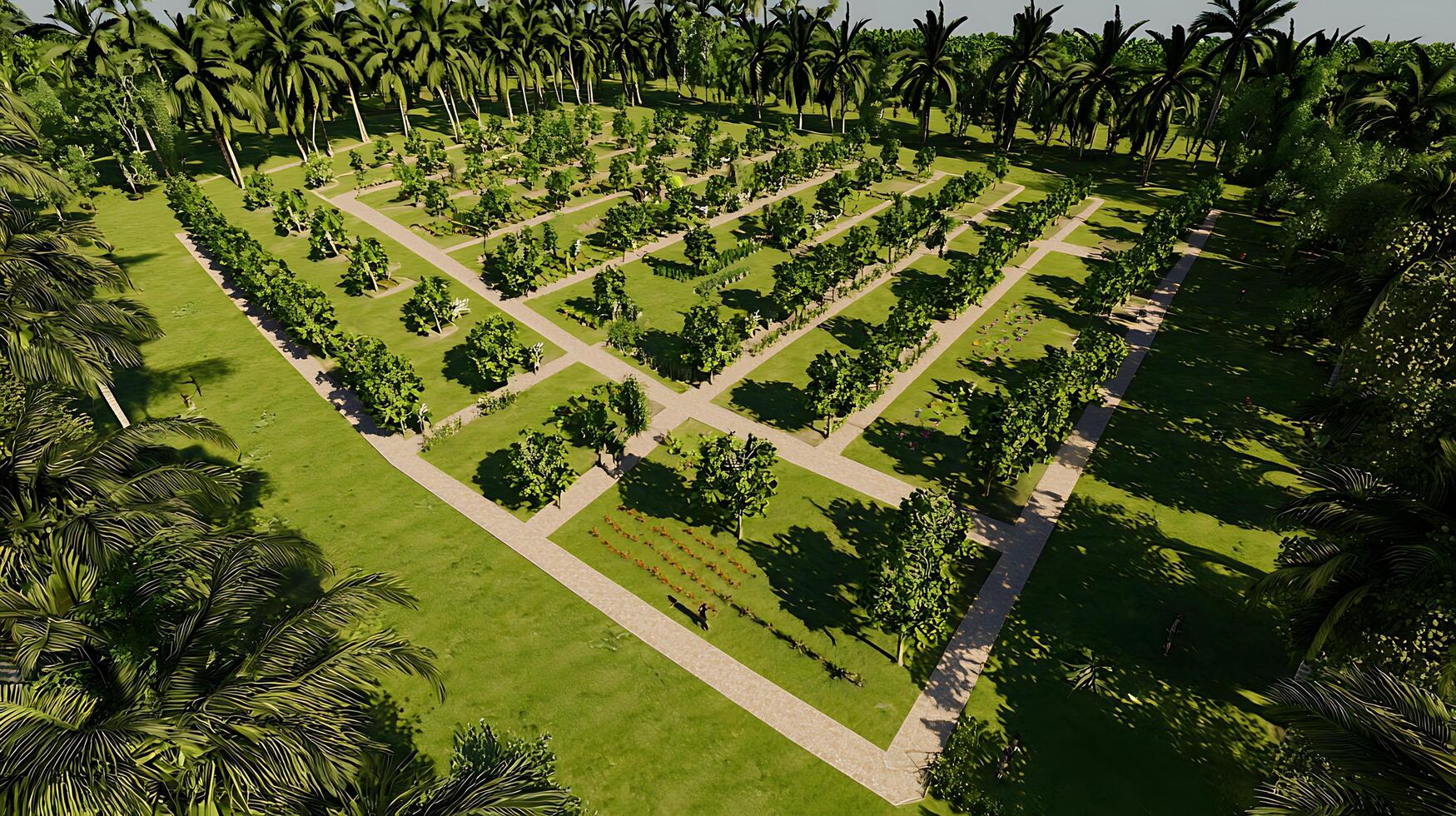 Lush Tropical Garden Paradise with Palm Trees and Pathways photo
