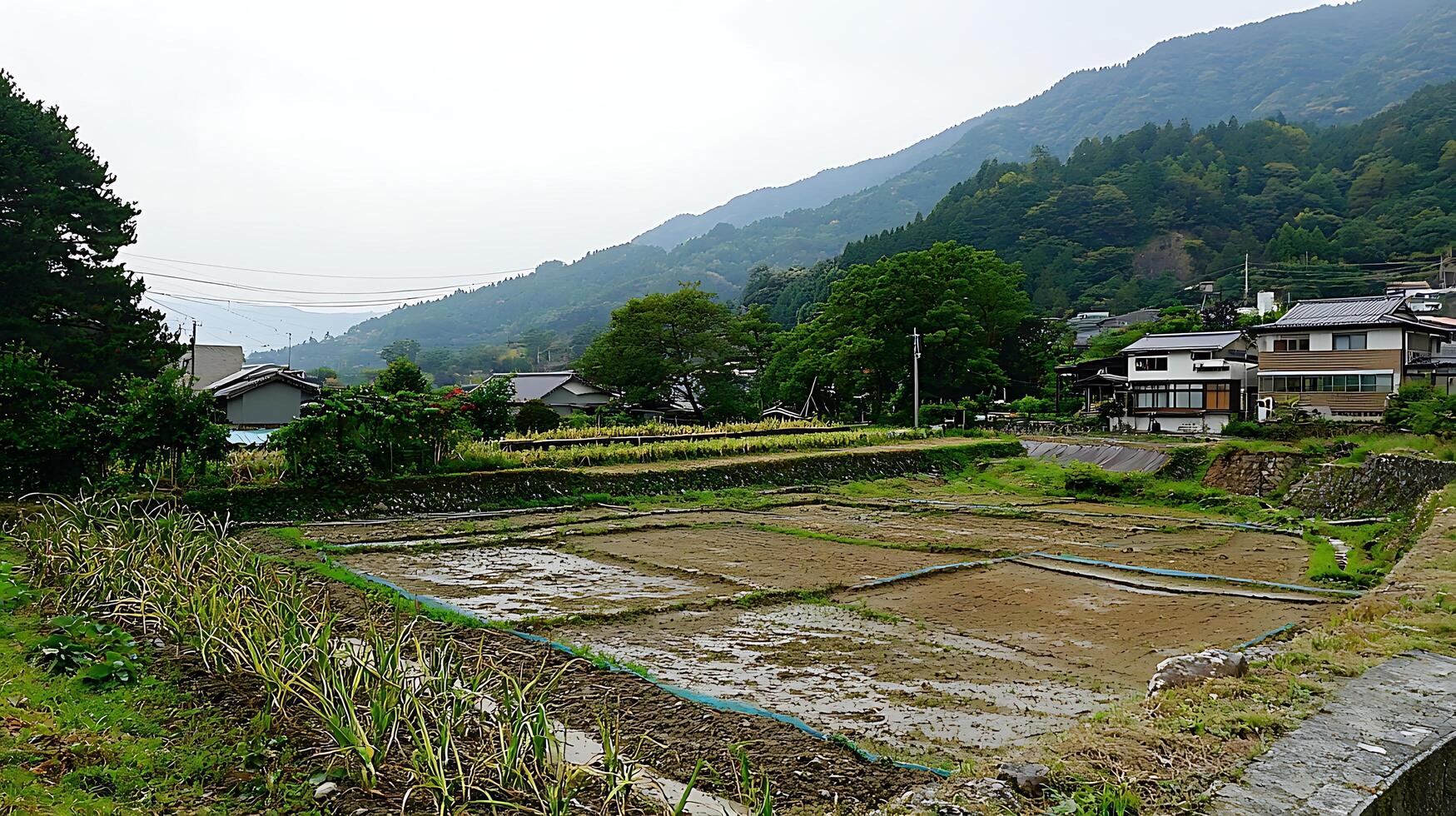 Serene Rural Japanese Village with Rice Terraces and Mountains. photo