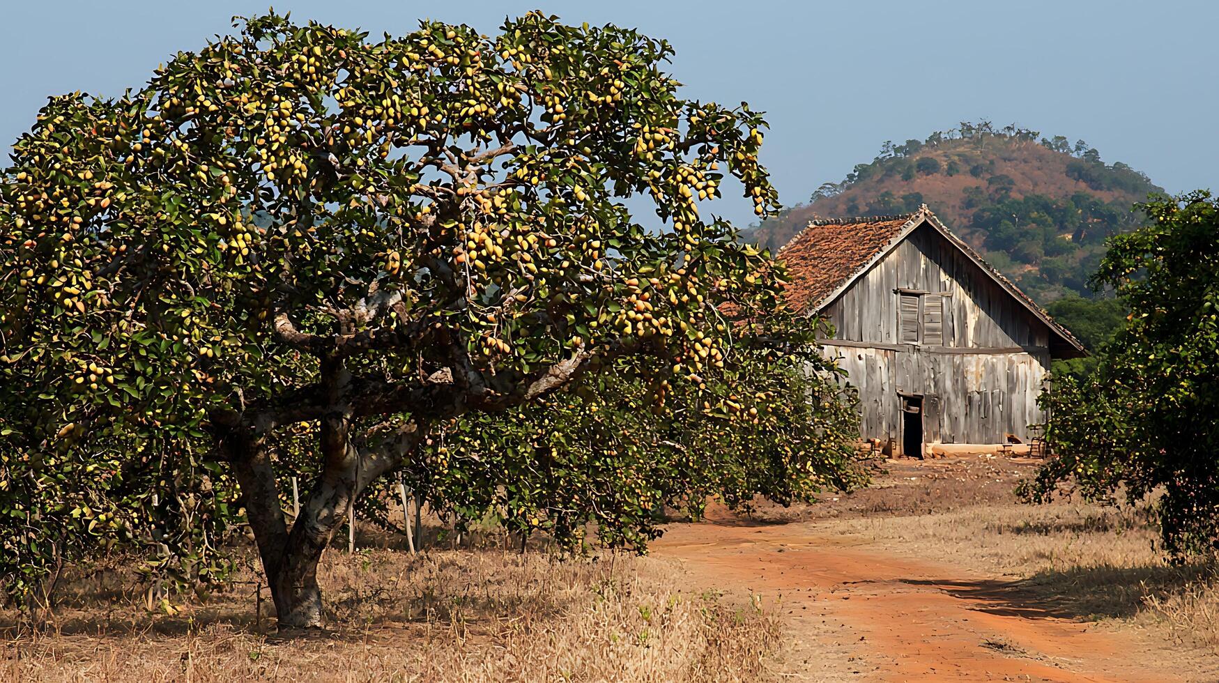 Rustic Farmhouse and Fruit Tree in a Rural Landscape Scene. photo