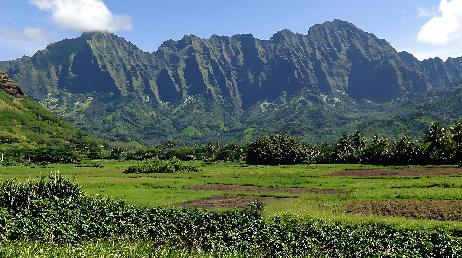 Lush Green Mountains Overlooking Cultivated Fields and Palm Trees. photo