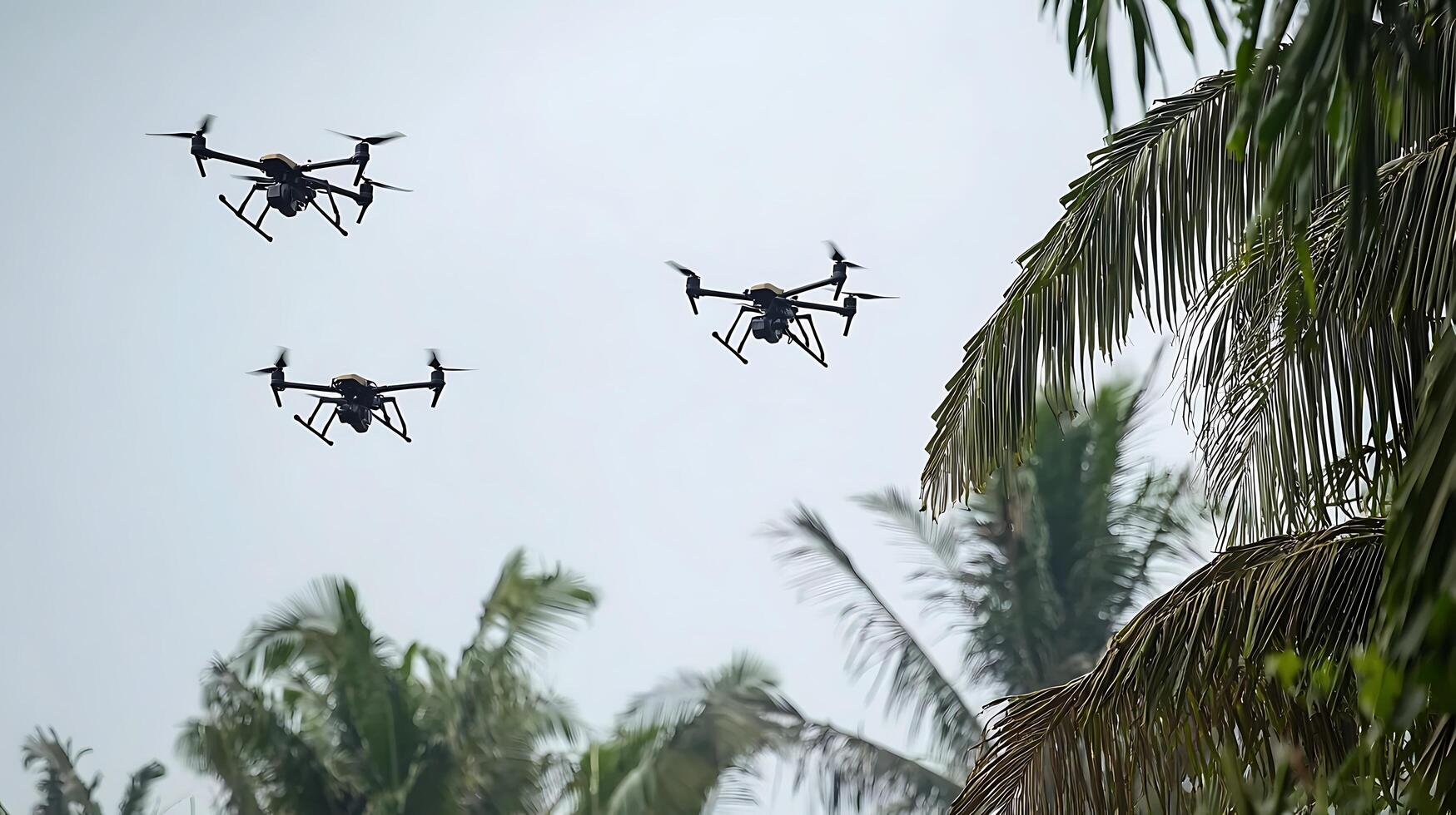Three Drones Flying Through Palm Trees Against a Cloudy Sky. photo