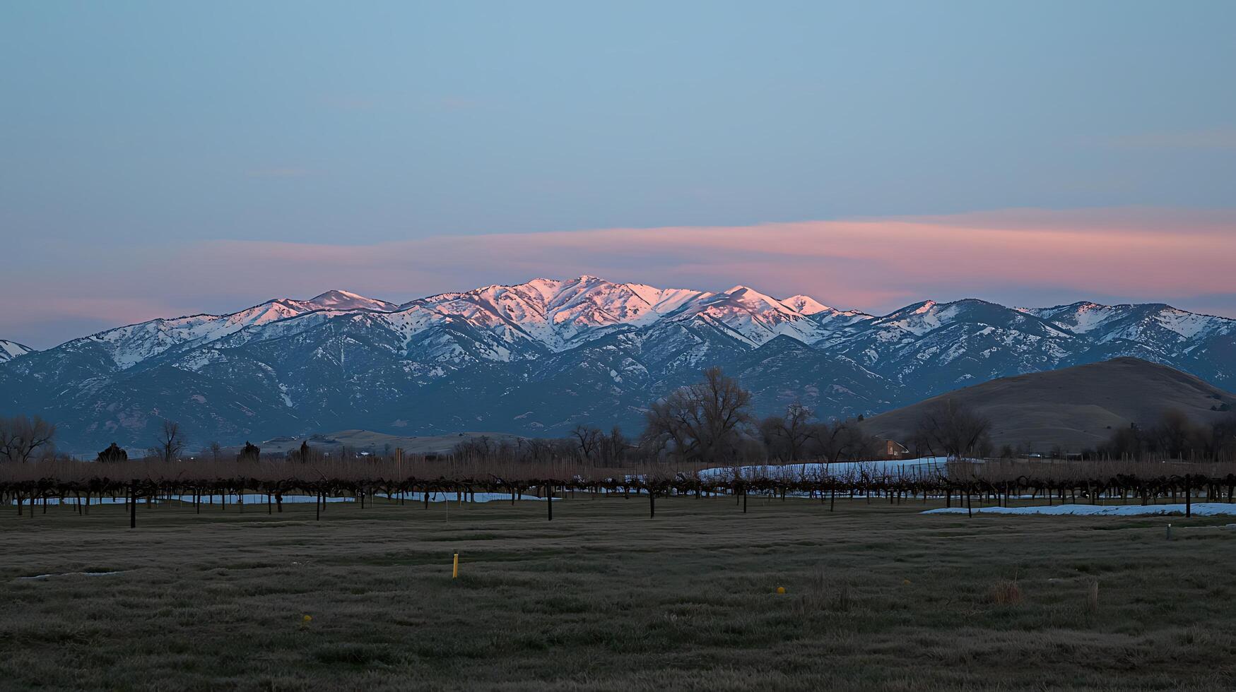 Snow Capped Mountains Glow Pink at Sunrise Over Frosty Fields. photo