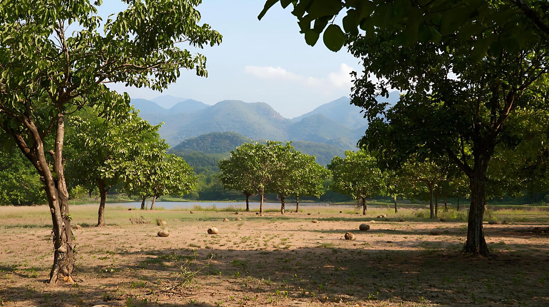 Serene Landscape with Lush Trees and Distant Rolling Hills. photo