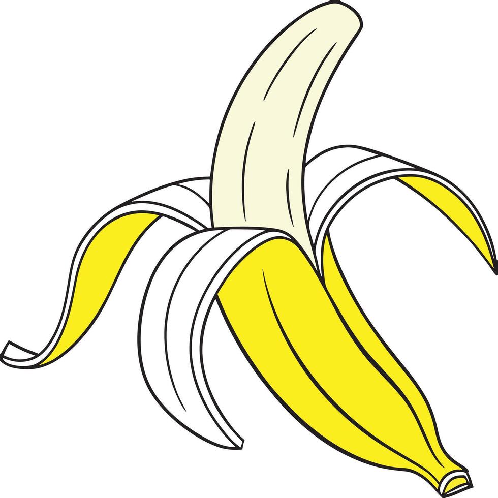 A simple cartoon illustration of a partially peeled yellow banana with its white peel strips spread open against a white background vector