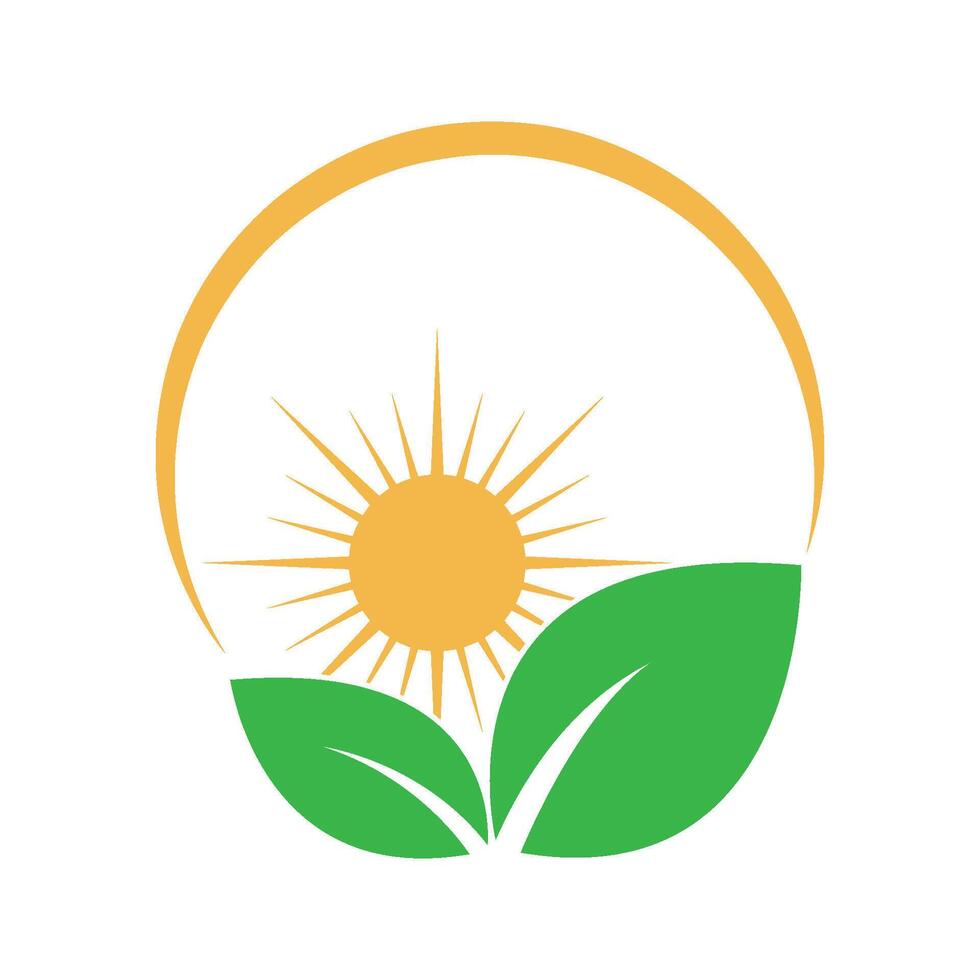 The sun and green leaf logo vector