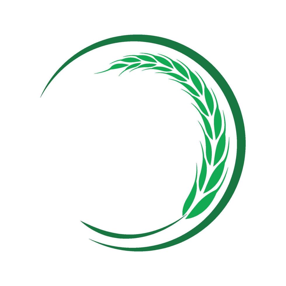 A green wheat leaf in a circle logo vector