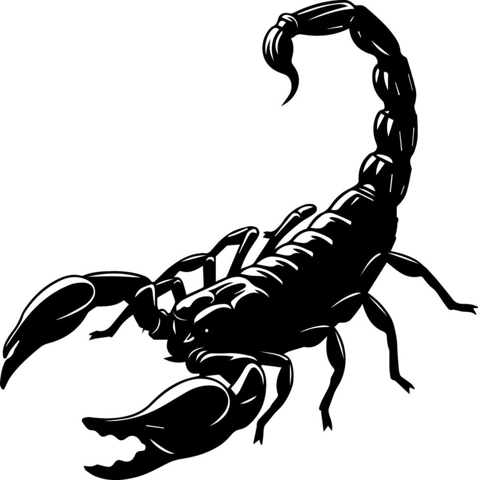 A detailed illustration of a black scorpion with claws and tail raised on a white background vector